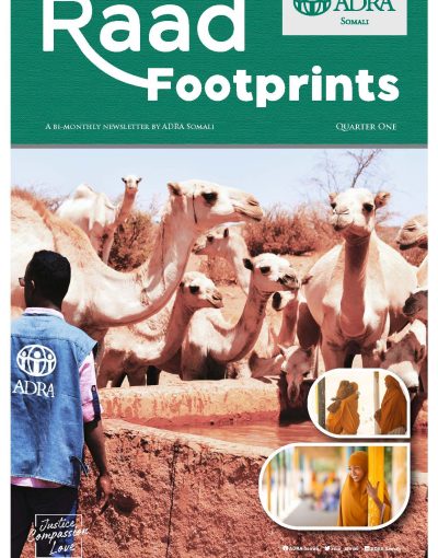 RAAD Footprints_Page_01